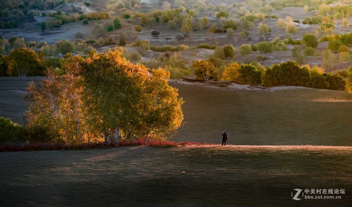 坝上金秋2