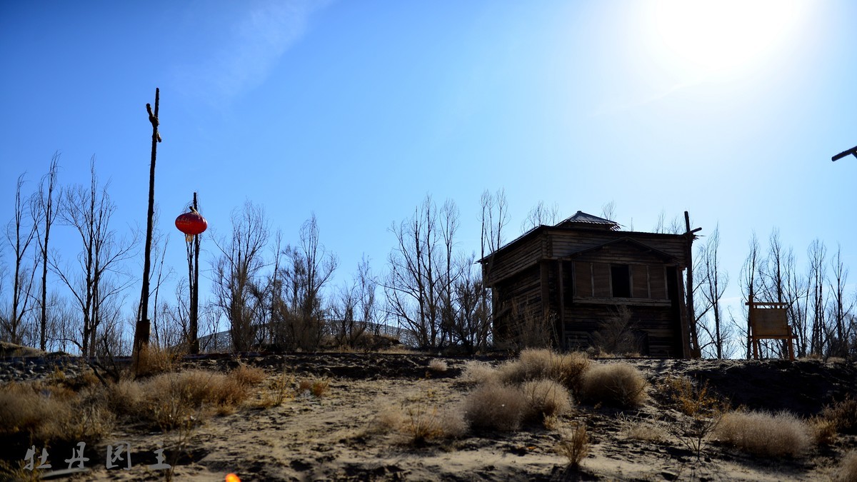 d610+24-70冬景试拍，求加精