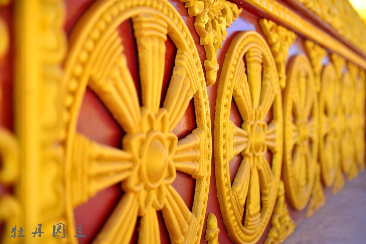 d610+24-70冬景试拍，求加精