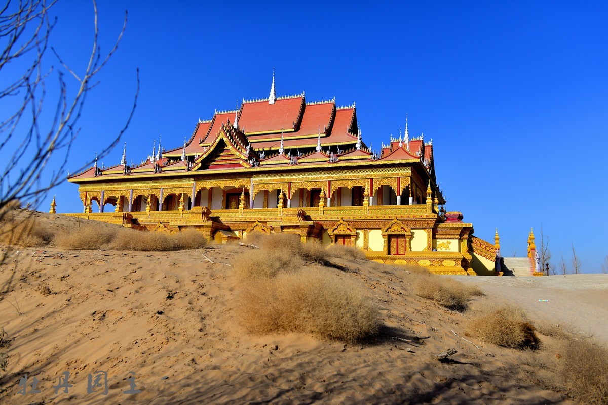 d610+24-70冬景试拍，求加精