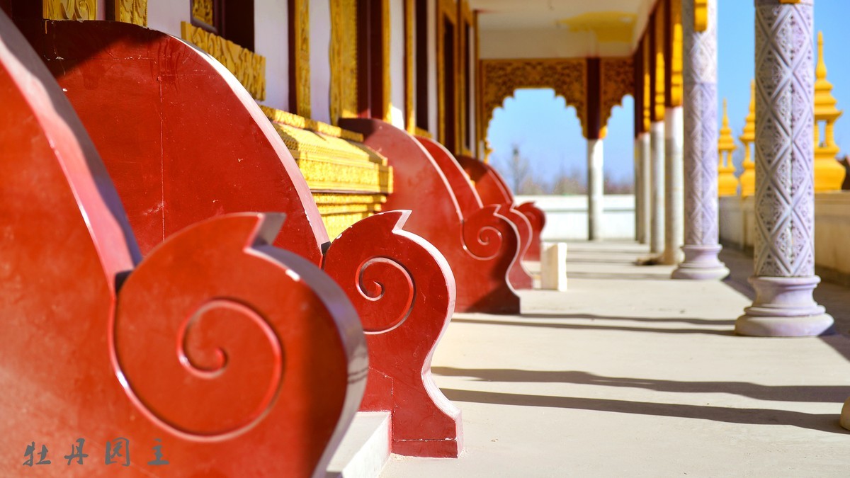 d610+24-70冬景试拍，求加精