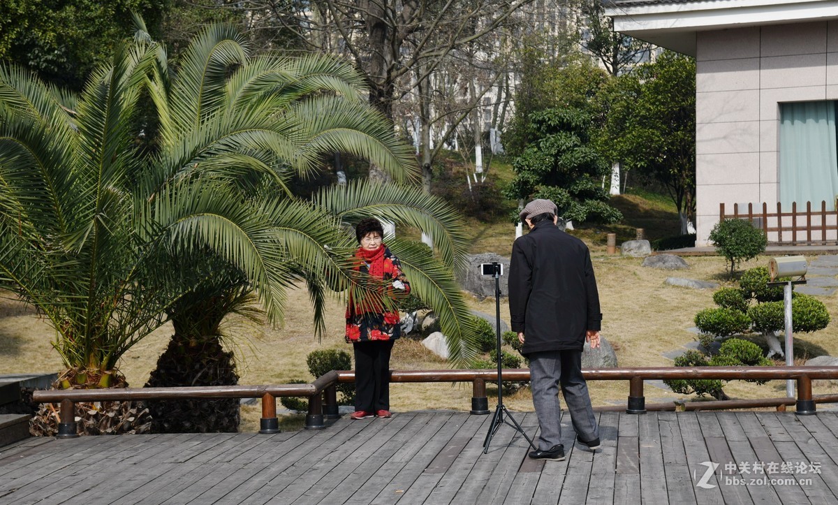 己该年春节随拍