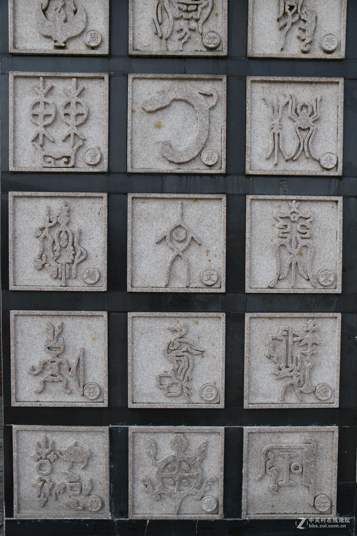 己该年春节随拍