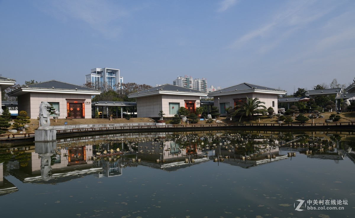 己该年春节随拍