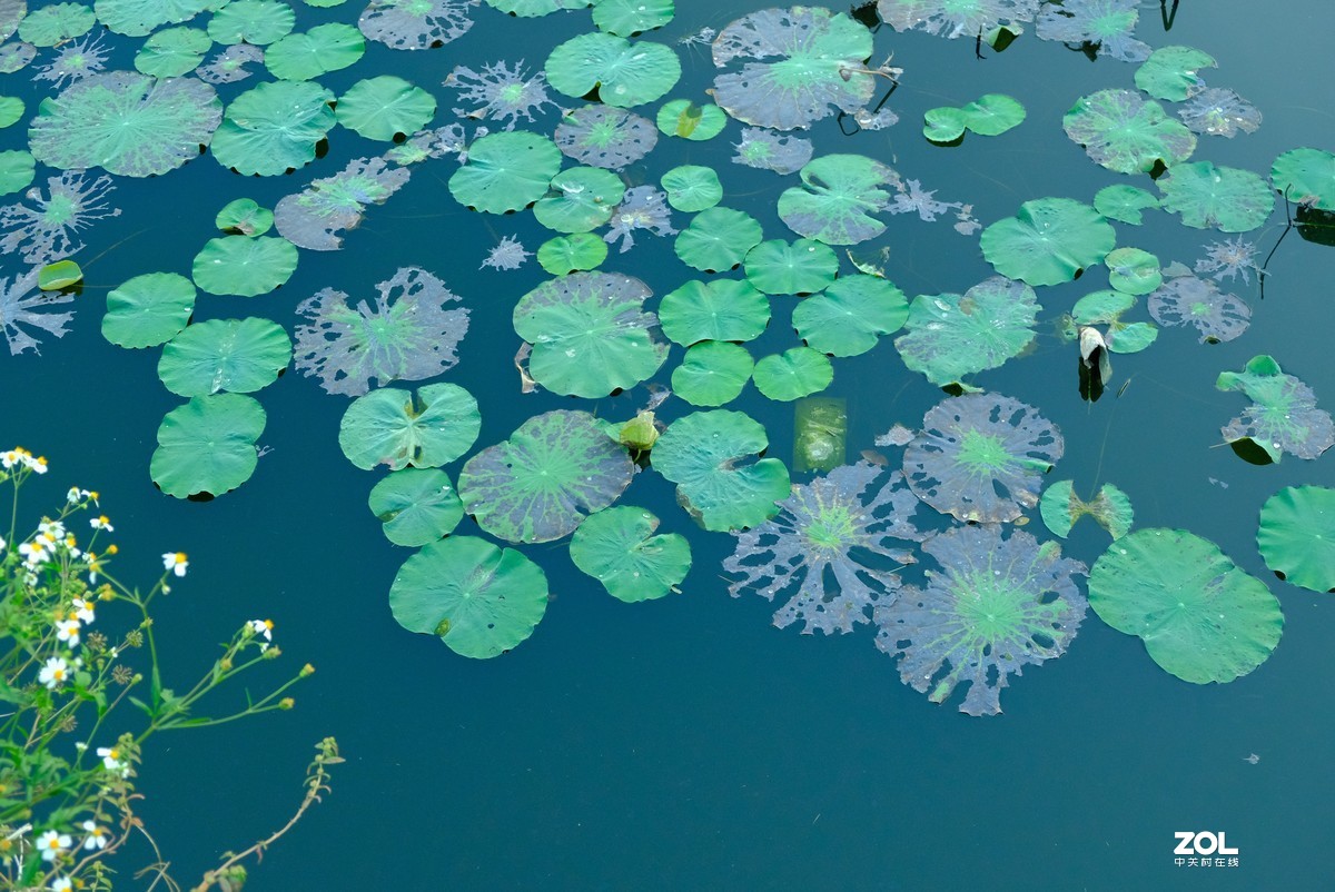 夕阳赖着不走挂在墙头——塱头古村记