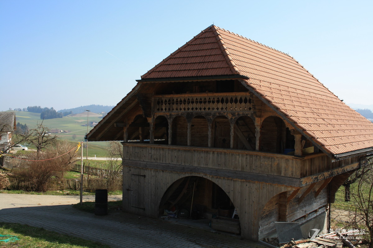 埃曼塔尔。瑞士奶酪 Emmentaler