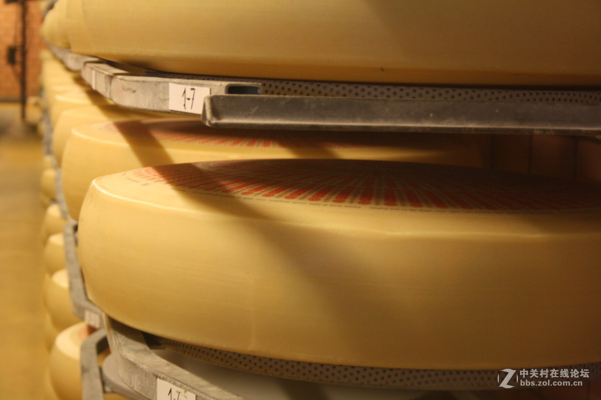 埃曼塔尔。瑞士奶酪 Emmentaler