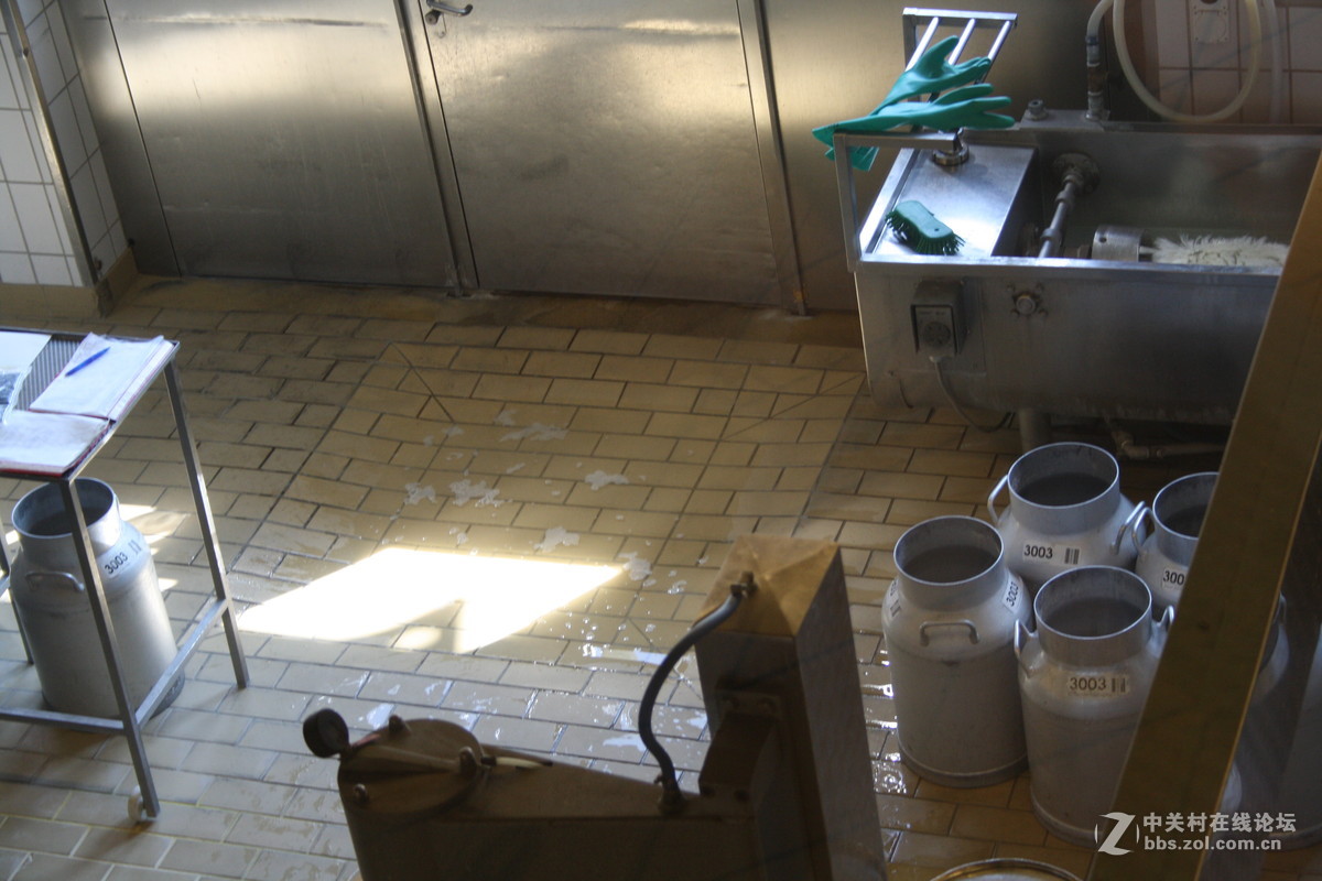 埃曼塔尔。瑞士奶酪 Emmentaler