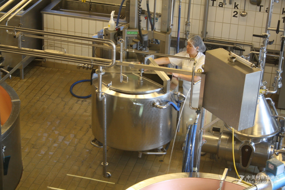 埃曼塔尔。瑞士奶酪 Emmentaler