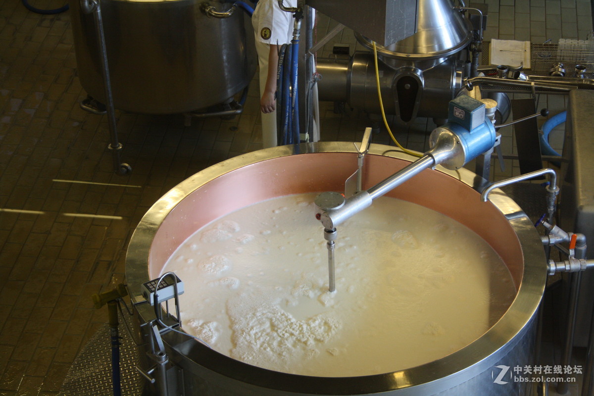 埃曼塔尔。瑞士奶酪 Emmentaler