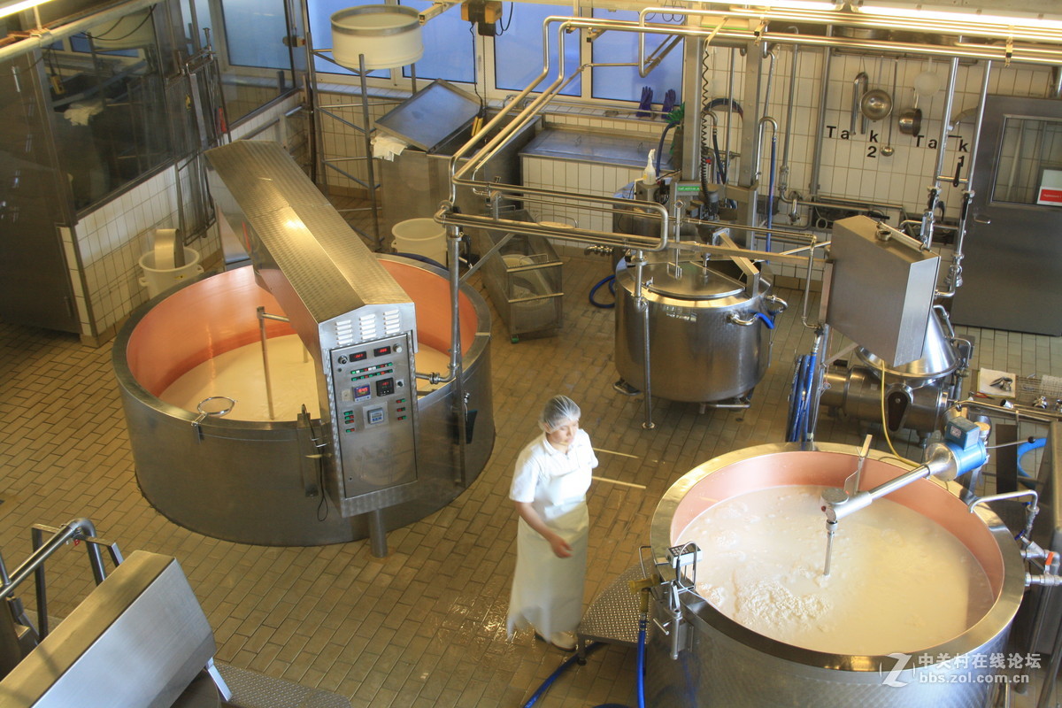 埃曼塔尔。瑞士奶酪 Emmentaler