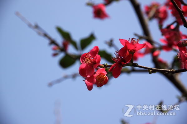 春天来了，晒晒太阳