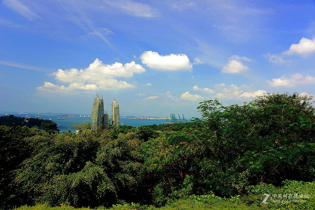 一组新加坡花芭山风光2去长沙论坛学习