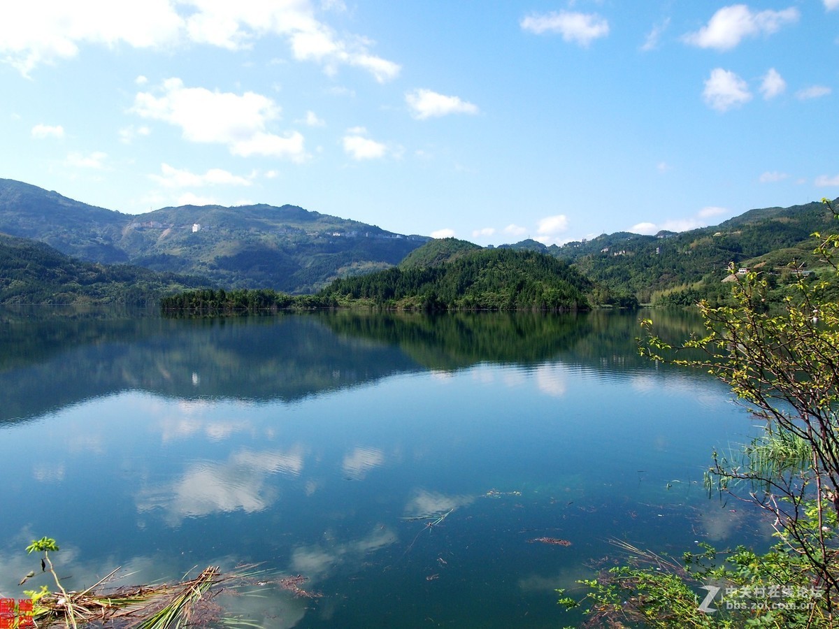 清水湖美景之五