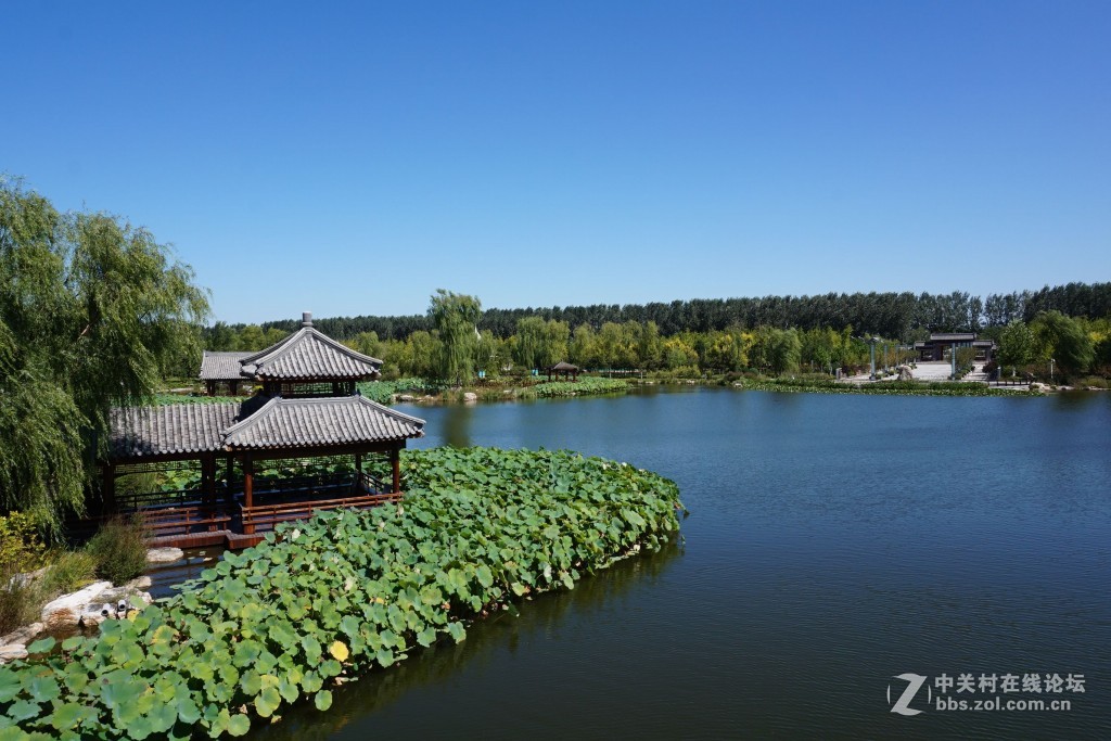 津北森林公园不错的休闲好地方随拍一二