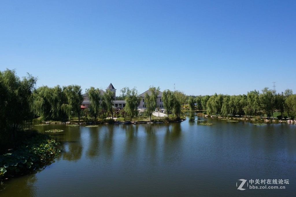 津北森林公园不错的休闲好地方随拍一二