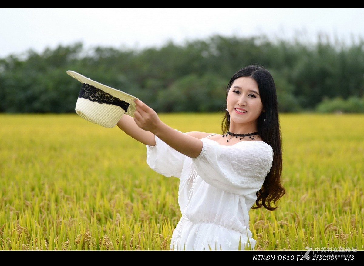丰收稻田里的优雅妹子