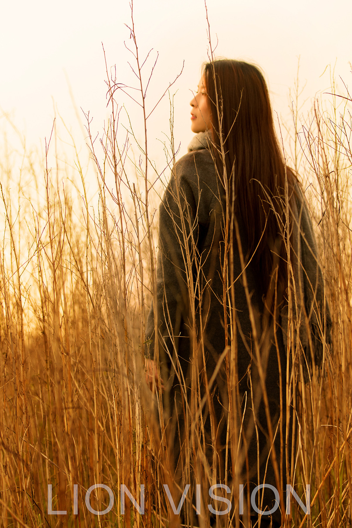 《暖阳》—彩彩大模