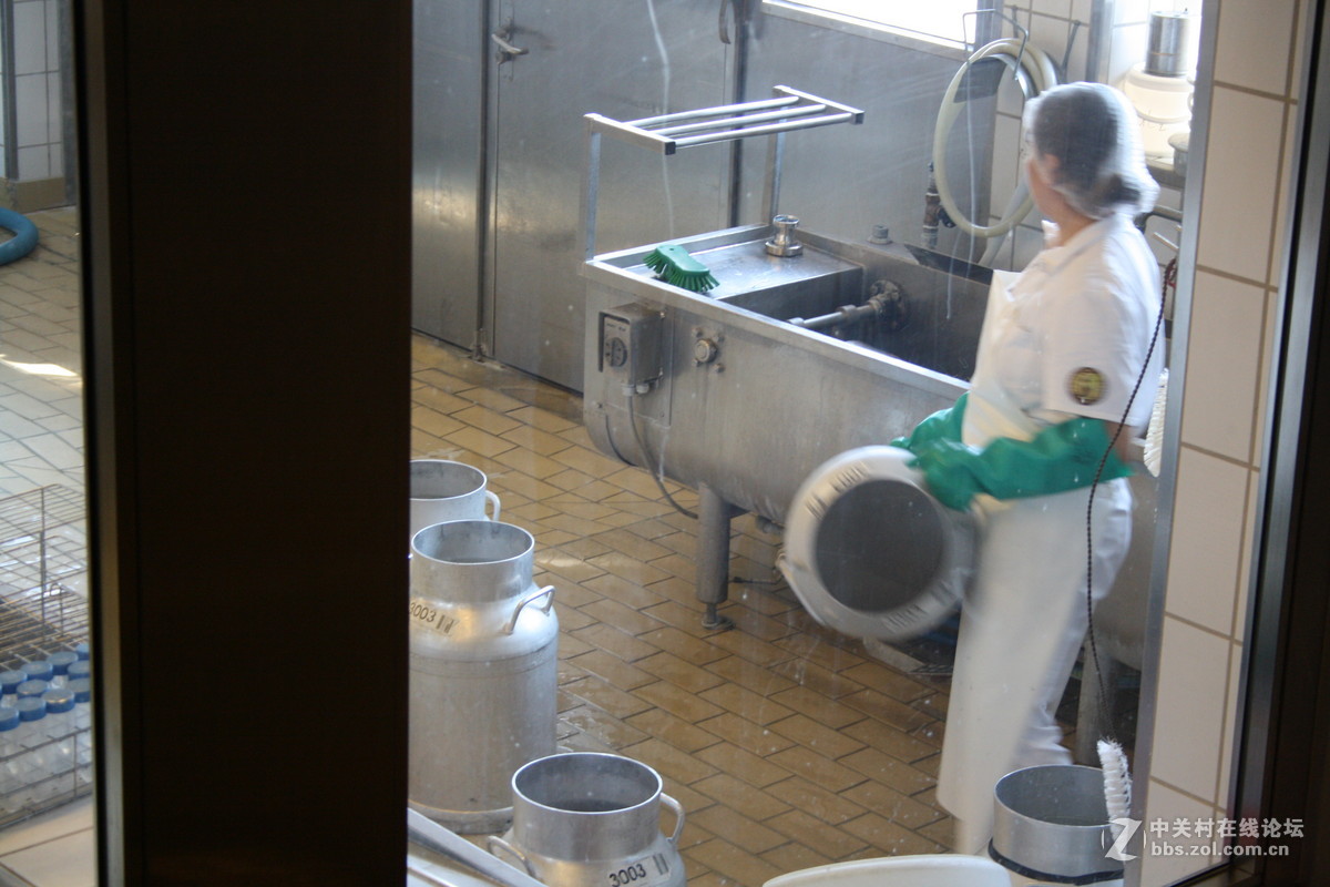 埃曼塔尔。瑞士奶酪 Emmentaler