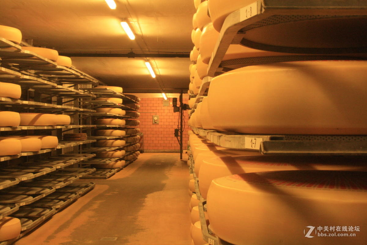 埃曼塔尔。瑞士奶酪 Emmentaler