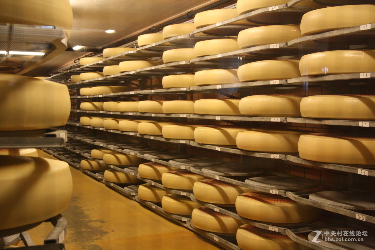 埃曼塔尔。瑞士奶酪 Emmentaler