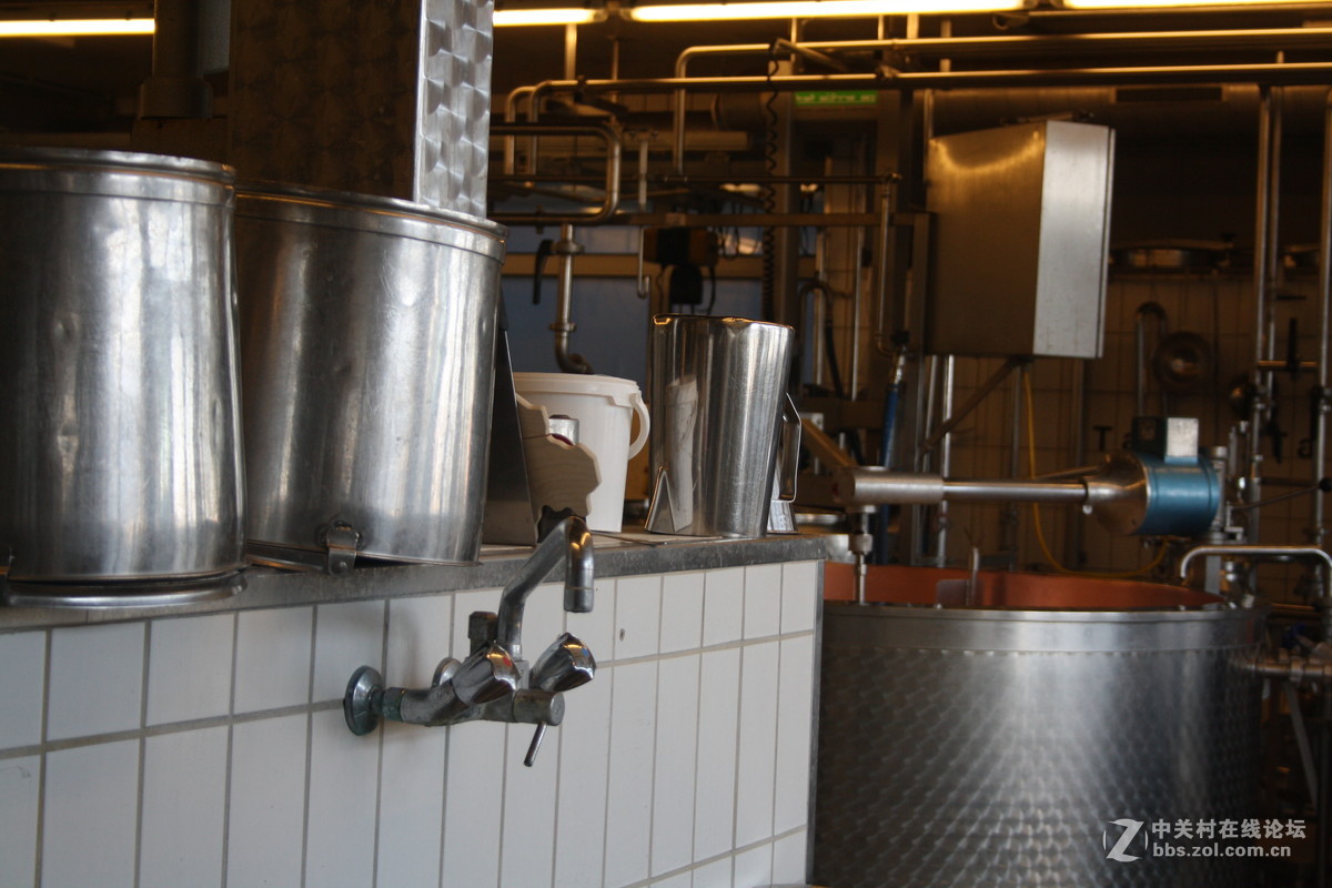 埃曼塔尔。瑞士奶酪 Emmentaler