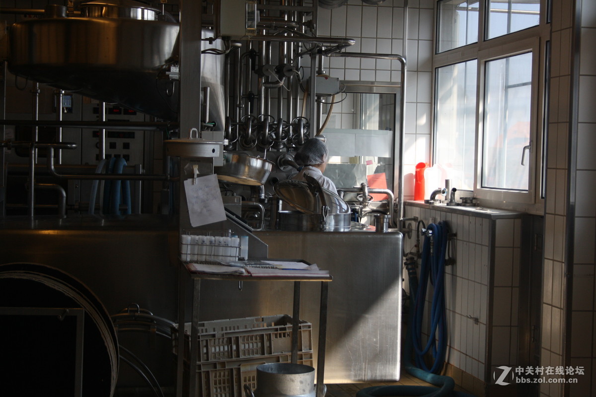 埃曼塔尔。瑞士奶酪 Emmentaler