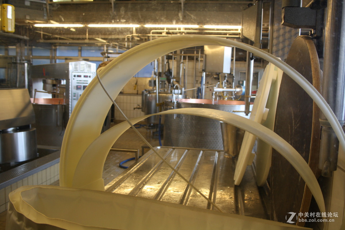 埃曼塔尔。瑞士奶酪 Emmentaler