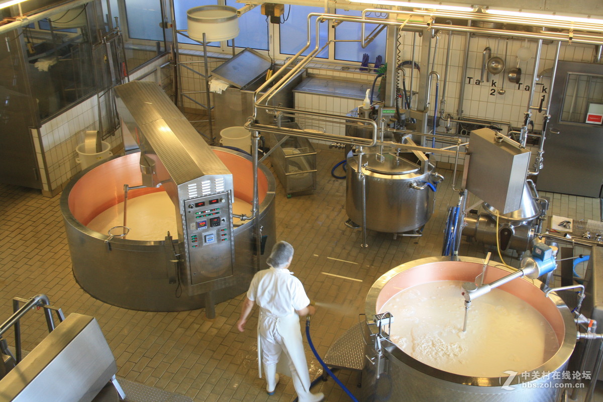 埃曼塔尔。瑞士奶酪 Emmentaler