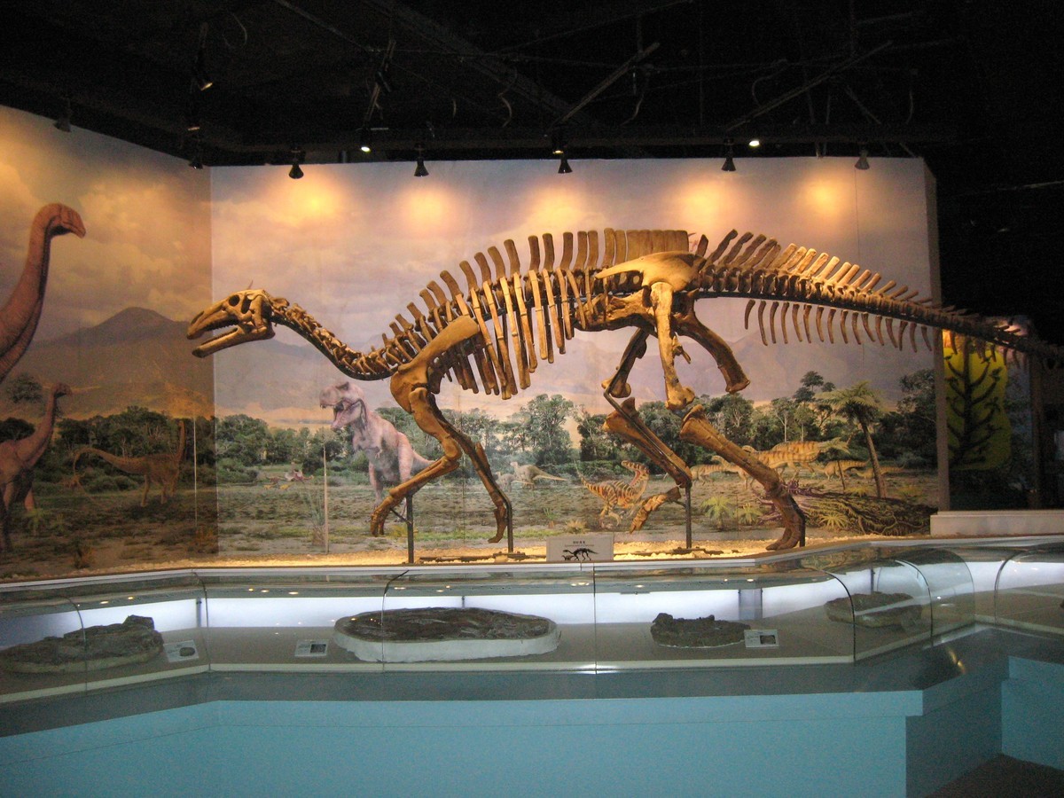 辽宁古生物博物馆