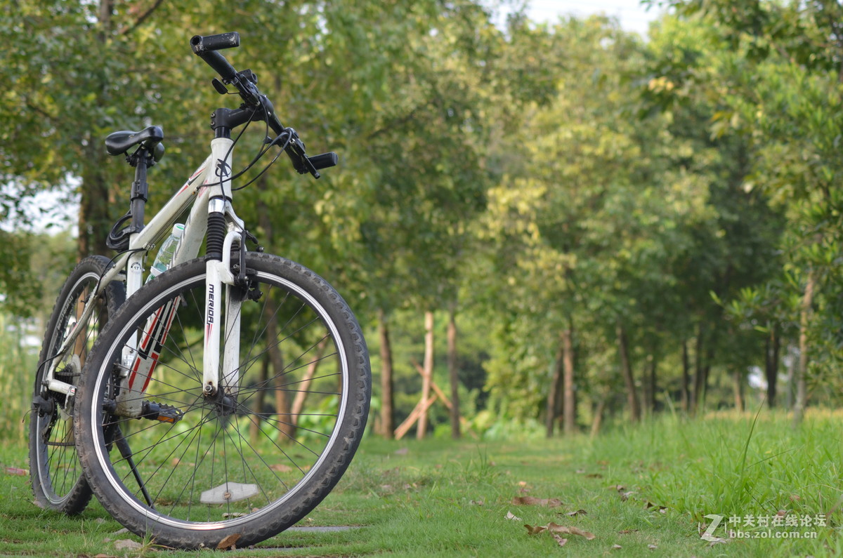 业余时间，菜鸟练习随拍！