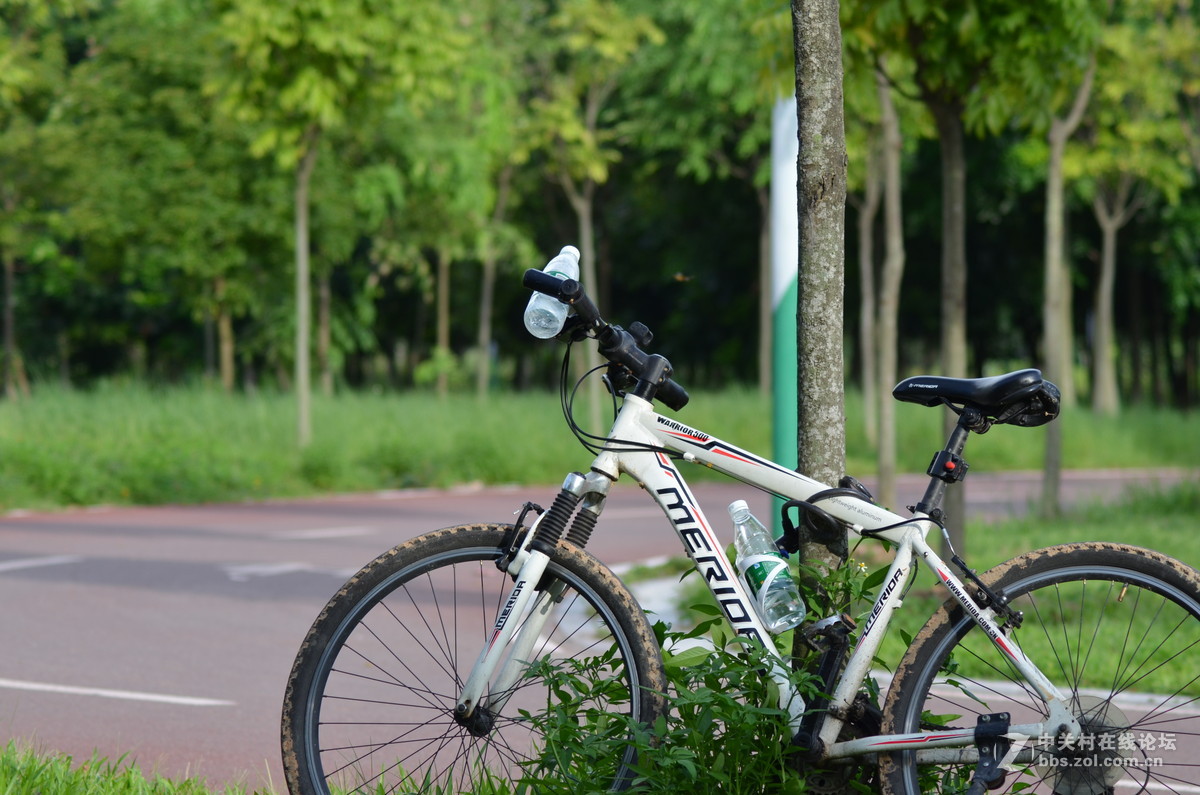 业余时间，菜鸟练习随拍！