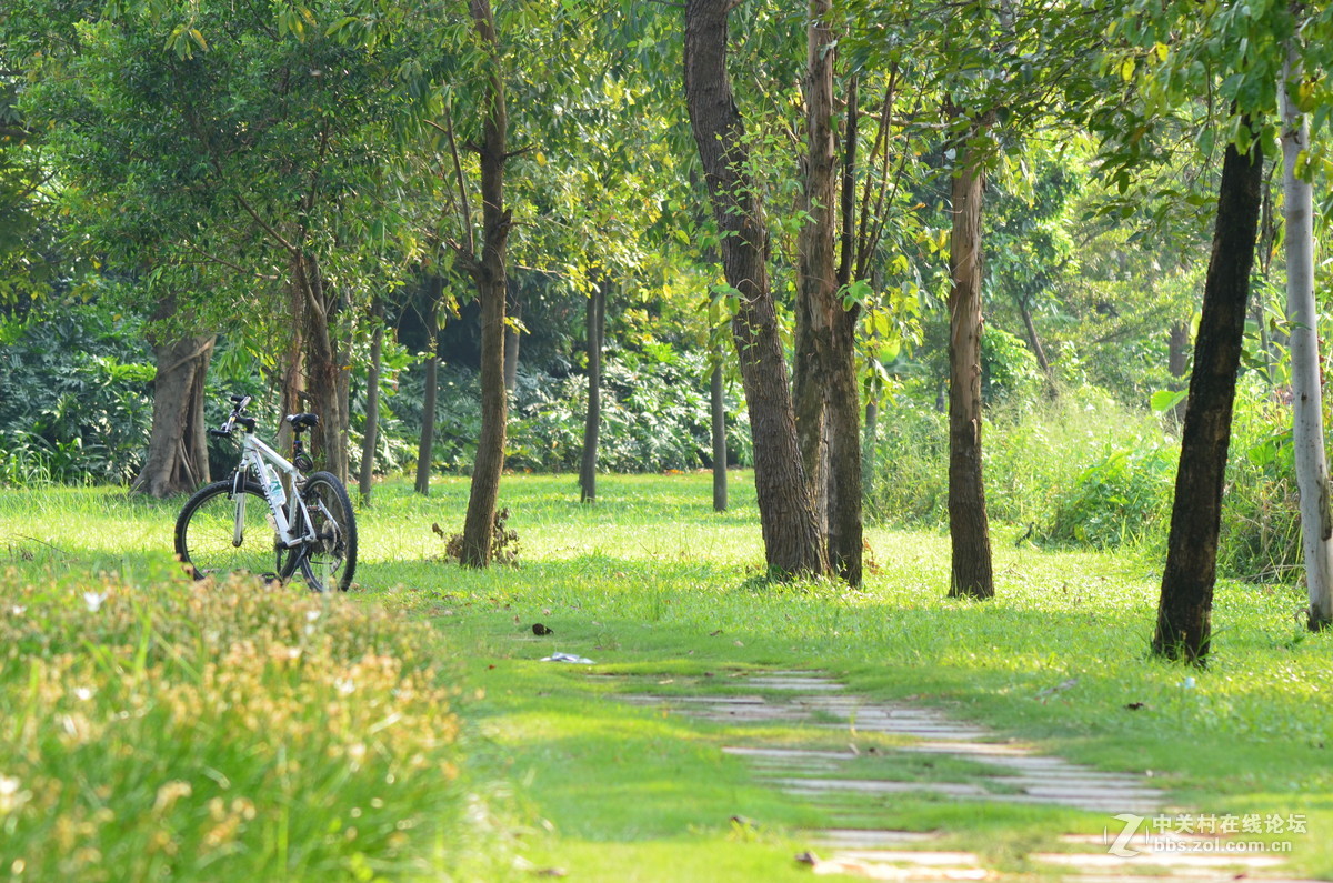 业余时间，菜鸟练习随拍！