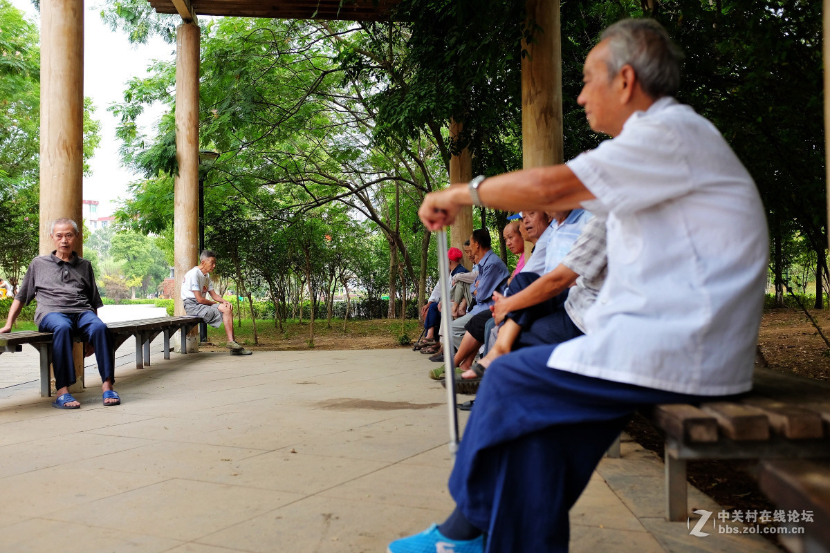 玩几片抓拍与盲拍的片片