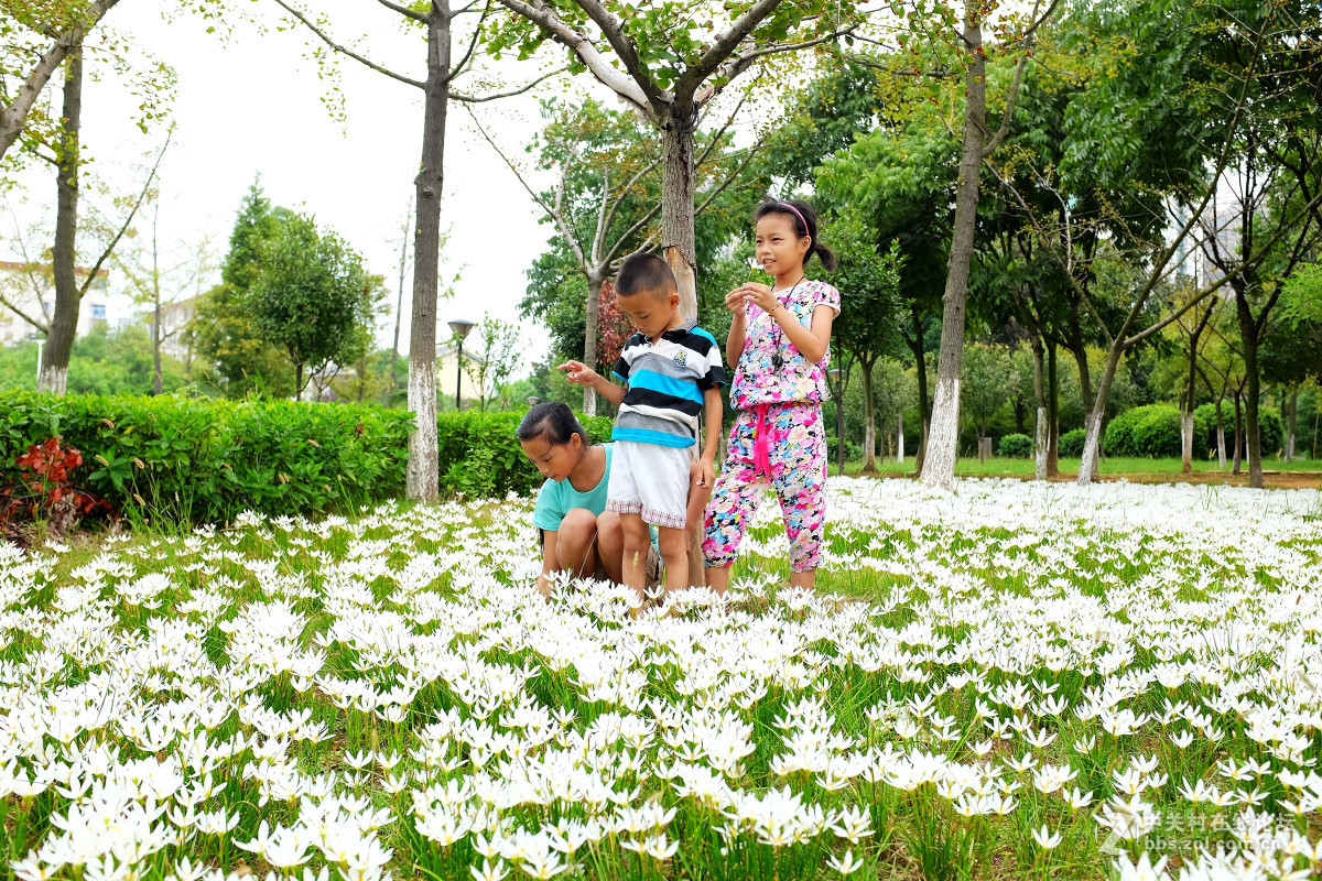 玩几片抓拍与盲拍的片片