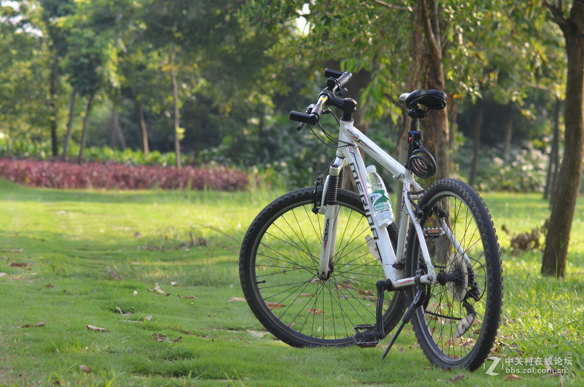 业余时间，菜鸟练习随拍！