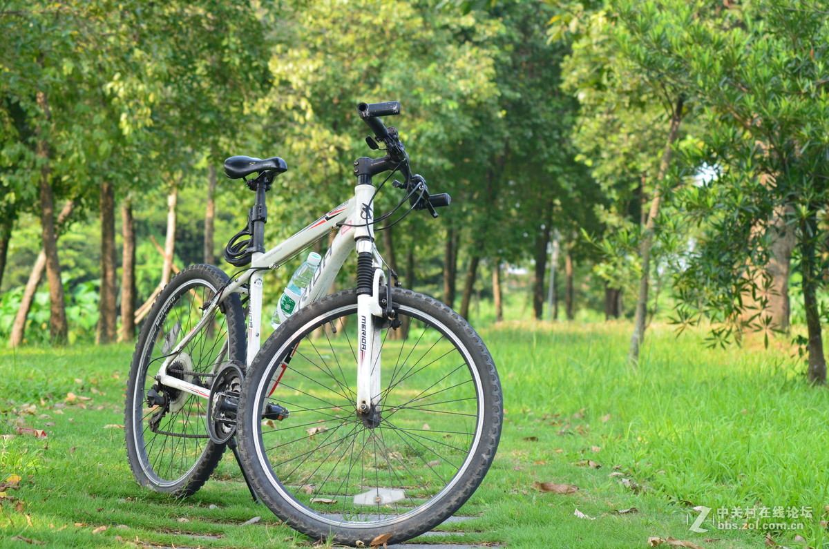 业余时间，菜鸟练习随拍！