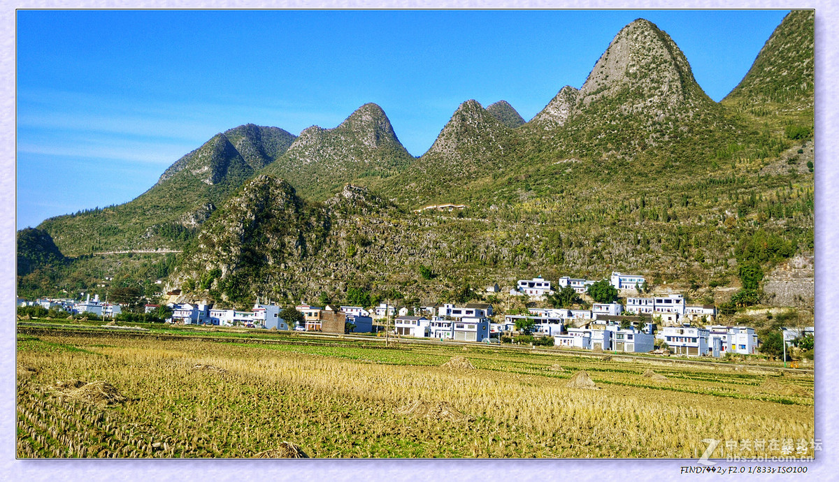 冬日冬景（手机版）