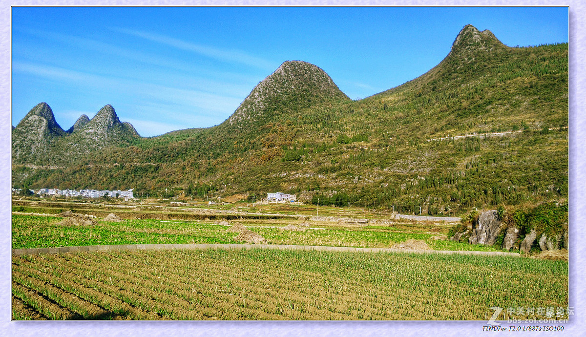 冬日冬景（手机版）