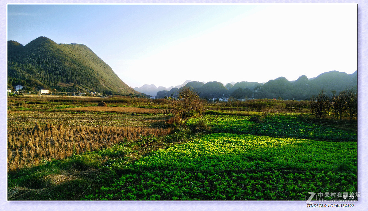 冬日冬景（手机版）