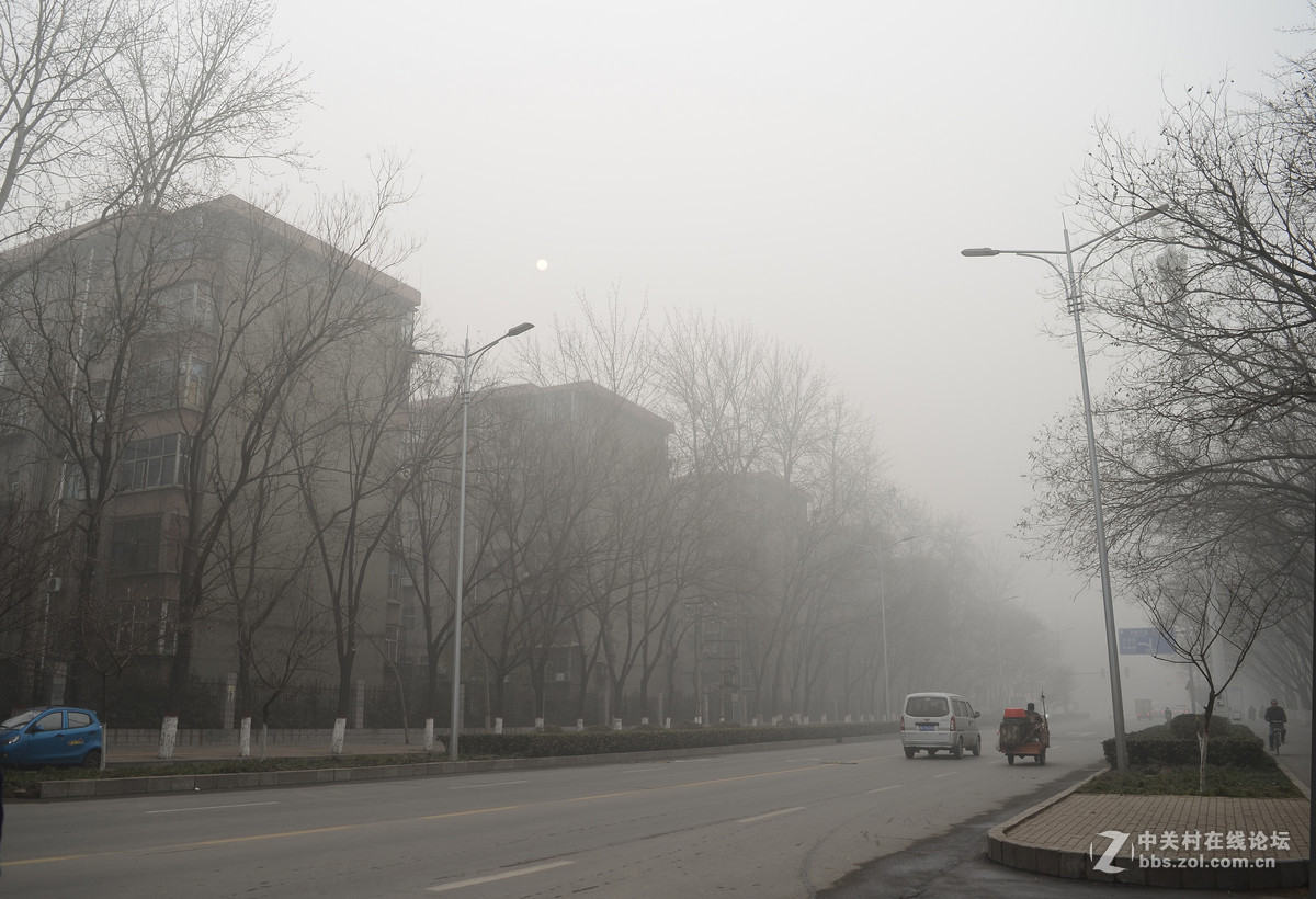 谁来问责问谁责 ？......