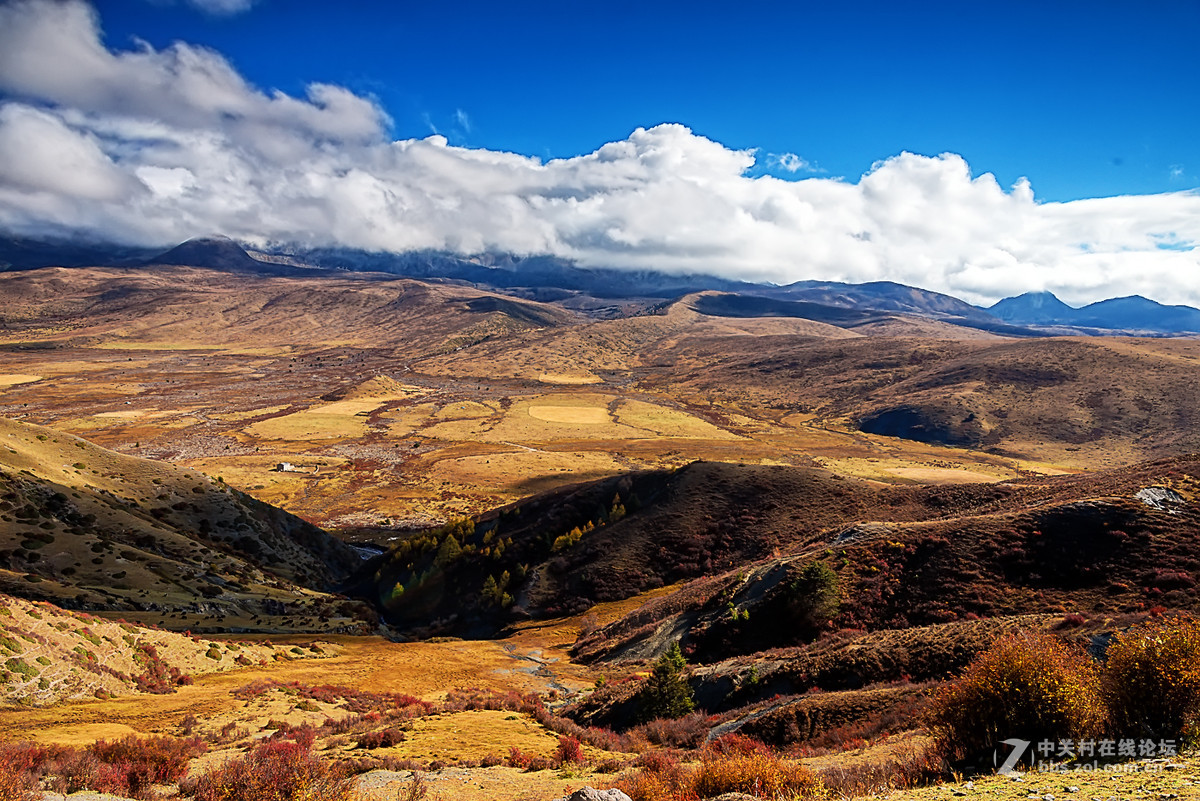 川西----康定塔公草原