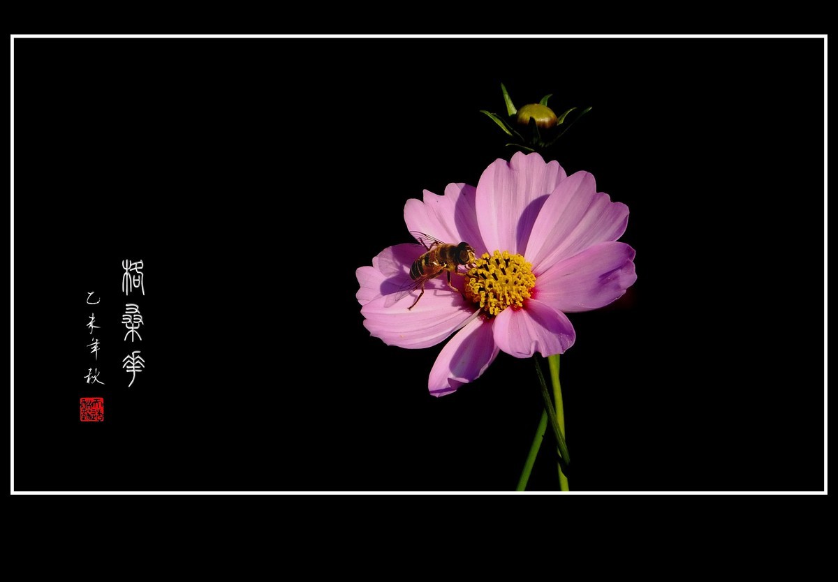 #版主坐堂#2015年11月份《承德》优秀作品选辑