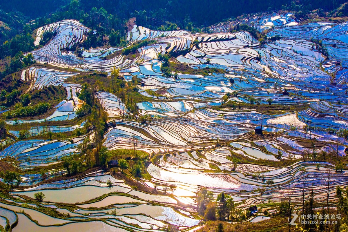 云南元阳及红河梯田