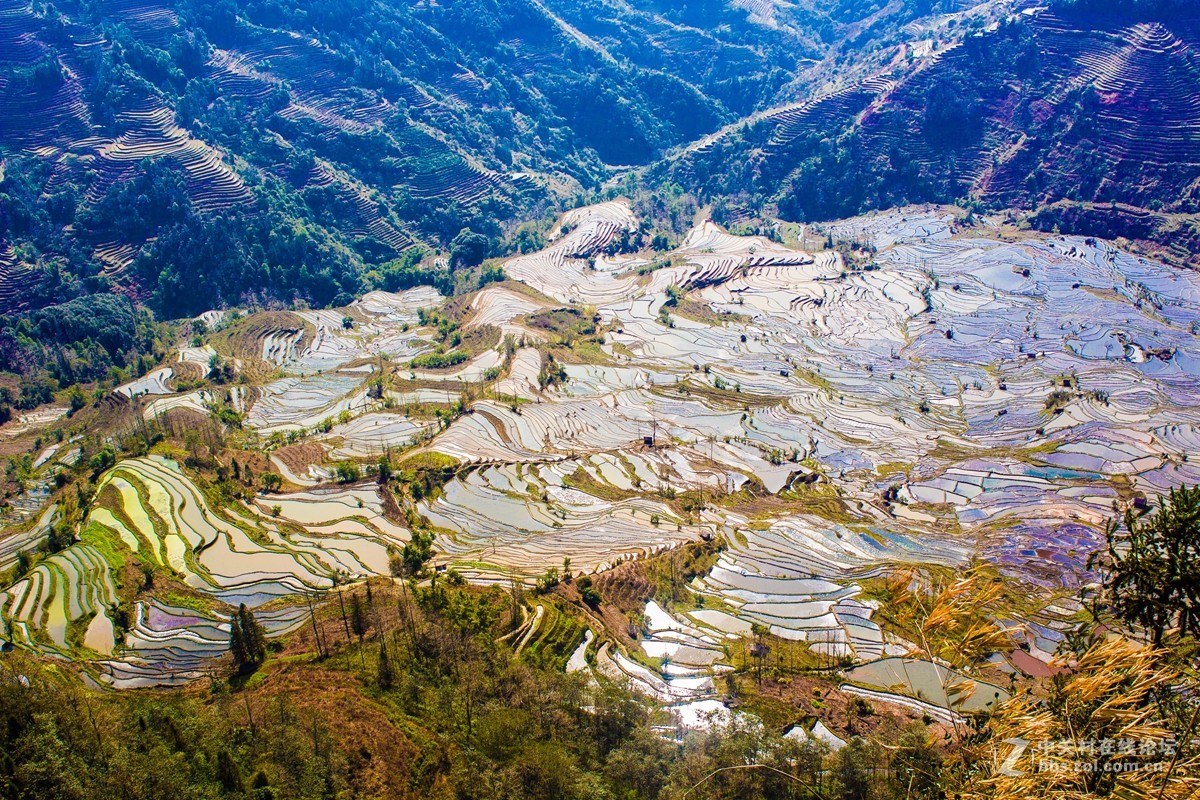 云南元阳及红河梯田