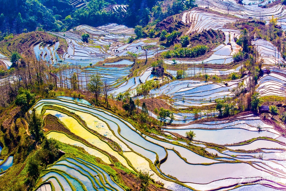 云南元阳及红河梯田