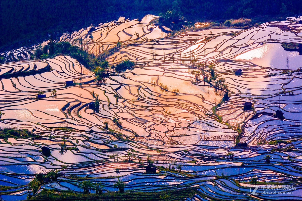 云南元阳及红河梯田