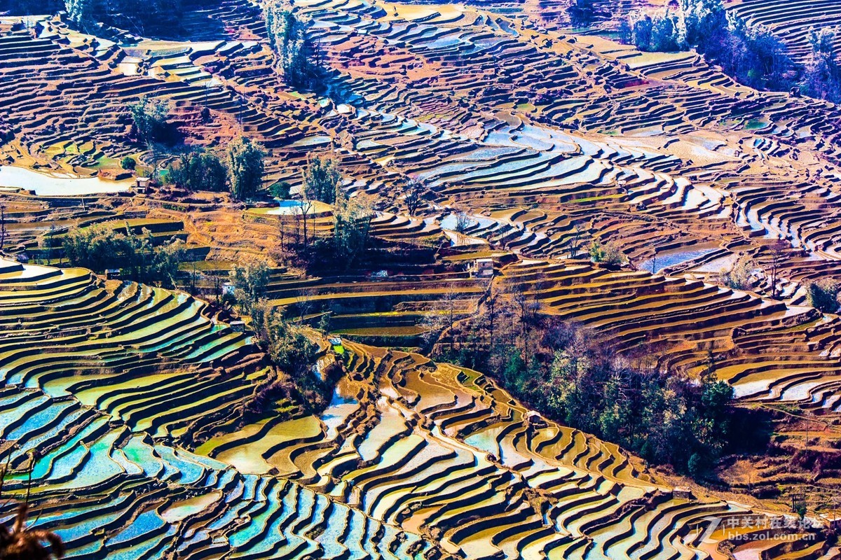 云南元阳及红河梯田