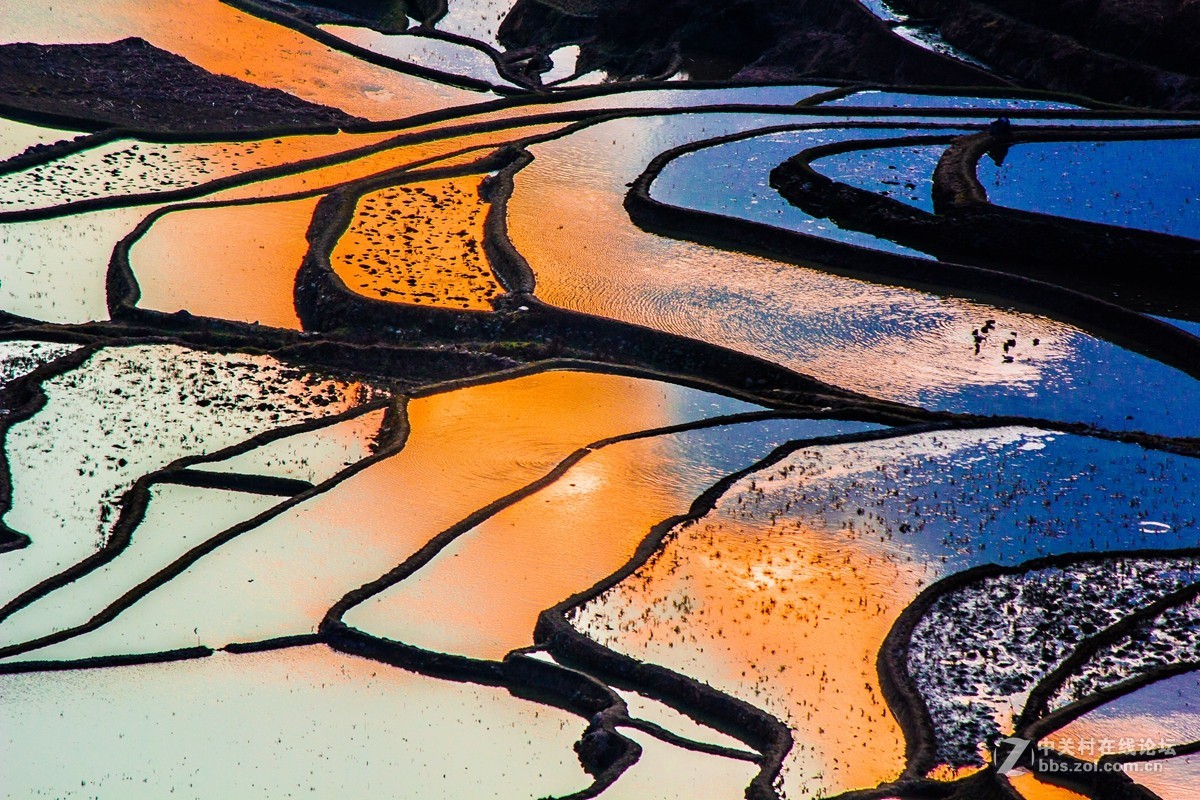 云南元阳及红河梯田