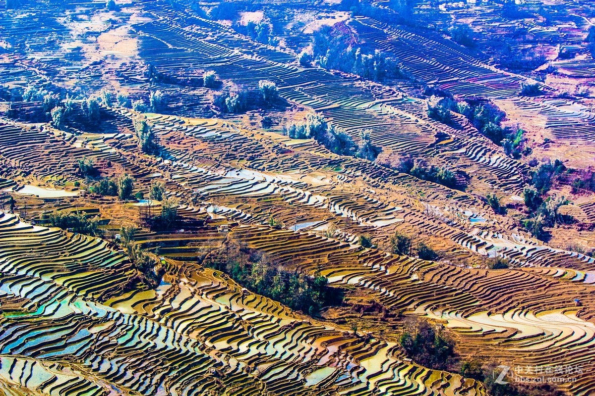 云南元阳及红河梯田